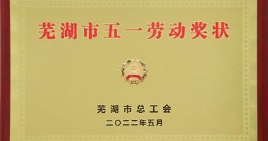 喜報！我們又獲獎了！