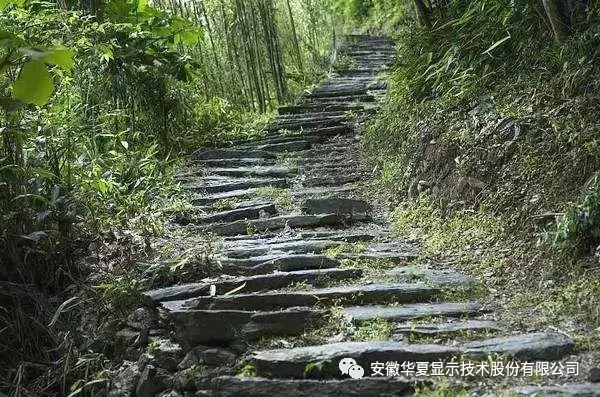 1617007416125890.jpg 03.webp.jpg